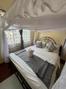 a bedroom with a white bed with a canopy at The Mimaced Homes in Homa Bay