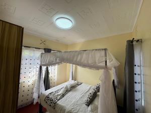 a bedroom with a canopy bed and a window at The Mimaced Homes in Homa Bay