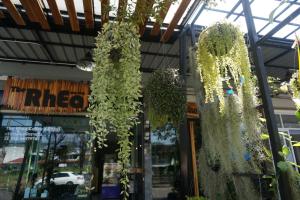 Foto sihtkohas Udon Thani asuva majutusasutuse The Rhea galeriist