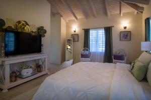 a bedroom with a large bed and a flat screen tv at Carmich Place in Saint Johnʼs