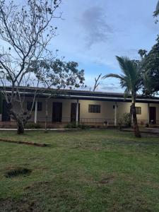 a house with a palm tree in the yard at Refúgio Mix Pousada com 3 suítes e 9 camas in Vilhena