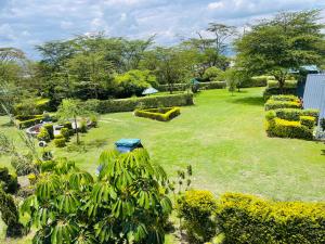 a garden with green grass and trees and bushes at Eschato tented camp in Gilgil