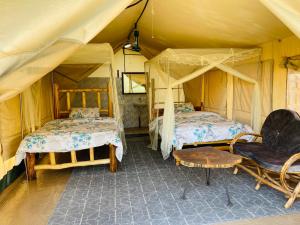 a room with two beds and a chair in a tent at Eschato tented camp in Gilgil