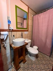 a bathroom with a sink and a toilet and a mirror at Amura Hostel in Puerto Varas +6 photos