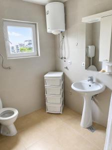 a bathroom with a toilet and a sink at Apartment Pasic in Petrovaradin