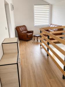a living room with a couch and a chair at Apartment Pasic in Petrovaradin