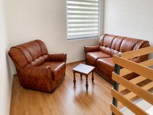 a living room with a leather couch and a table at Apartment Pasic in Petrovaradin