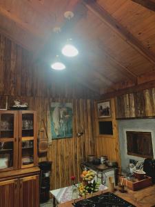 a kitchen with wooden walls and a ceiling with a light at Casa de Campo in Guaíba +32 photos