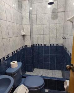 a bathroom with a blue toilet and a sink at Habitación completa in Huaraz
