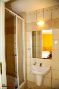 een badkamer met een wastafel, een douche en een spiegel bij Restauracja i Noclegi Pod Sikorką in Kobior