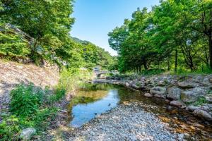 a river with rocks and a bridge in the background at Jirisan Forest Caravan Park in Gurye
