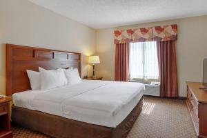 a hotel room with a large bed and a window at Quality Suites San Antonio Northeast in San Antonio
