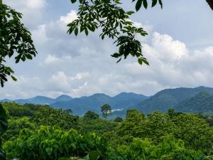 a view of the mountains from the jungle at Canorix Inn in Athirappilly
