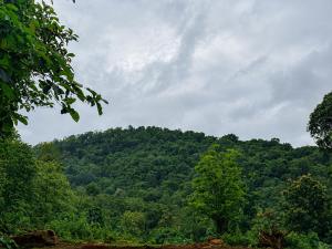 a large green hill with trees on it at Canorix Inn in Athirappilly +1 photo