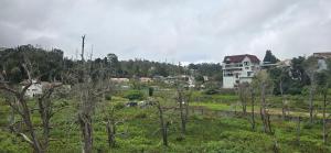a group of buildings in a field with trees at Kodai blue residency in Kodaikānāl