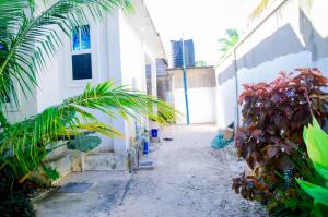 a courtyard of a white building with a palm tree at Ray Infinity Suites in Paje