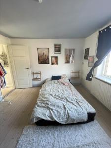 a bedroom with a bed and a window at Hyggely in Nakskov