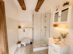 a bathroom with a shower and a toilet and a sink at Farma Puchałowo in Puchałowo +96 photos