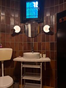 a bathroom with a sink and a toilet and a mirror at LAKEview HAUS in Braslovče +6 photos