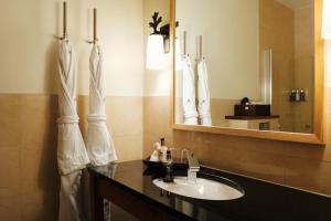 a bathroom with a sink and a mirror at Eriksberg Hotel & Nature Reserve in Trensum