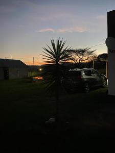 a palm tree in front of a car at sunset at EeeLSii Health Rest in Manzini