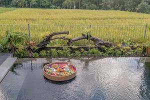 a bowl of toys in the water next to a field at Aranya Ubud Villa in Ubud