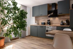 a kitchen with gray cabinets and a wooden floor at Gemütliches Ferienhaus in Kell am Traumpfad nahe Maria Laach in Andernach