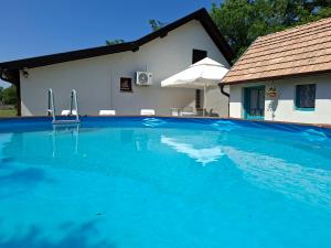 a large blue swimming pool in front of a house at Naprózsa Tanya in Bugac Felső Vasútállomás +11 photos