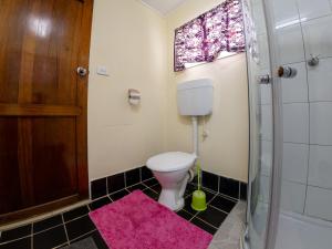 a bathroom with a toilet and a shower with a pink rug at Tanuli Heights in Honiara