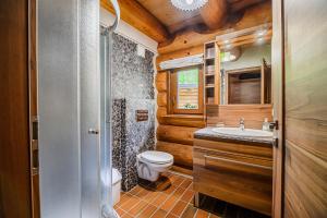 a bathroom with a toilet sink and a shower at Holiday Home Happiness in Hočko Pohorje