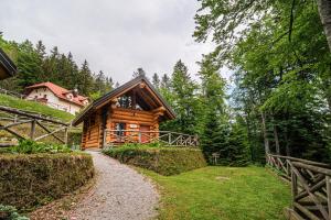 a log cabin in the middle of a forest at Holiday Home Happiness in Hočko Pohorje +28 photos
