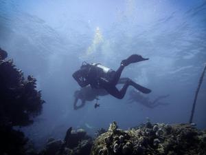 a person floating in the water over a reef at The Sandscape Fuvahmulah in Fuvahmulah