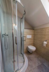 a bathroom with a shower and a toilet at Apartament Giżycko in Giżycko +11 photos