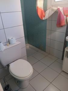 a bathroom with a toilet and a shower at L'îlot vacances in Saint-Pierre