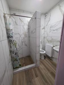 a bathroom with a shower and a toilet at Marika Apartman Sopron in Sopron +14 photos