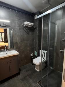 a bathroom with a shower and a toilet and a sink at Vicolo Moda Kadıköy in Istanbul