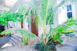a group of palm trees in front of a building at Ray Infinity Suites in Paje