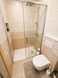 a bathroom with a shower and a toilet at Apartment Alee in Lesce
