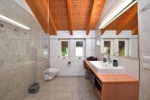 a bathroom with a sink and a toilet at Haus im Wäldle in Balderschwang