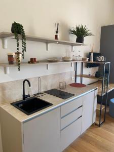 a kitchen with a sink and a counter with shelves at Cavour 106 Apartment in Palermo