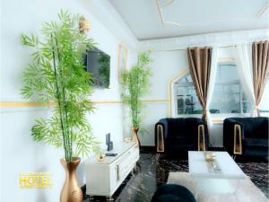 a living room with two potted plants on the wall at Golden fortune Hotel apartment in Molyko