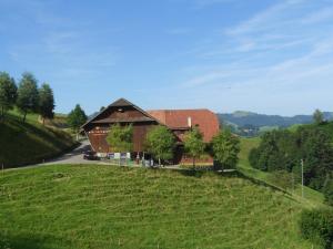 a large house on a hill with a green field at Naturfreunde in Hergiswil