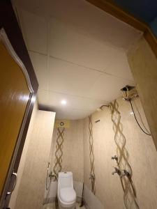 a small bathroom with a toilet and a shower at DANGWAL HoTEL in Srīnagar
