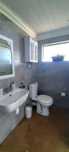 a bathroom with a white toilet and a sink at View on 42 - Protea Room - Small cozy room with ocean view in Mossel Bay
