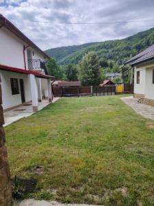 a yard of a house with a green lawn at Stai Ca Acasă in Slănic-Moldova +17 photos