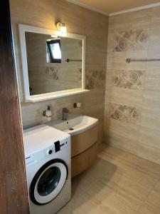 a bathroom with a washing machine and a sink at Vila La Cazemată Bucov in Satu Bucovei +24 photos
