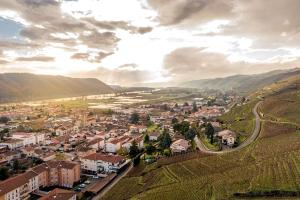 an aerial view of a small town in a valley at Pause au coeur des Côtes-Rôtie in Ampuis