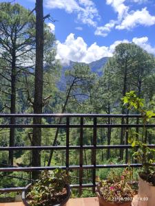 a view of the mountains from a balcony with plants at Bhandari Cottages in Dhanaulti