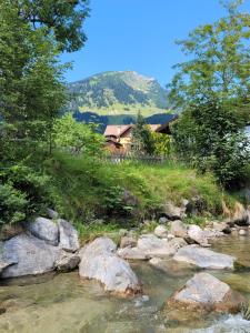 a river with rocks in front of a house at Landhaus Schwaighofer Dachstein West in Russbach am Pass Gschütt