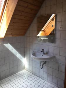 a bathroom with a sink and a mirror at Im Grünen in Klein Trebbow